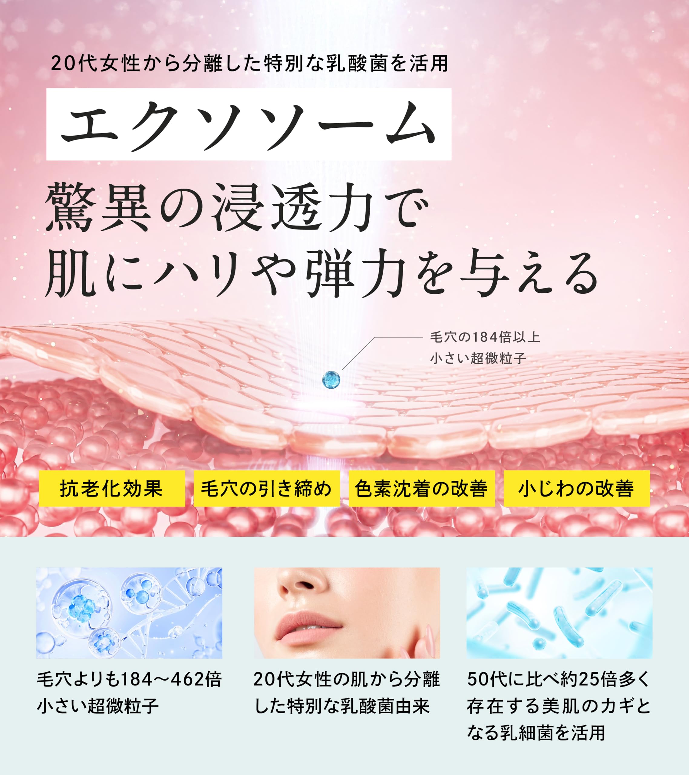 リピート　プリン様　エクソソーム2本とHC100 2本　合計4本 Amazon.co.jp: <>30秒で実感 エクソソーム シワ改善 クリーム 美容液
